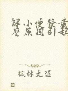 解小便发黄是什么原因引起的