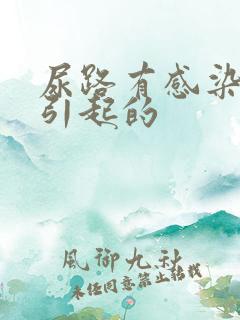 尿路有感染怎么引起的