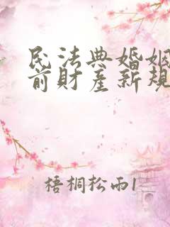 民法典婚姻法婚前财产新规