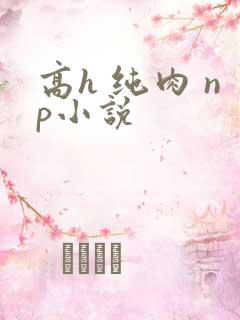 高h 纯肉 np小说