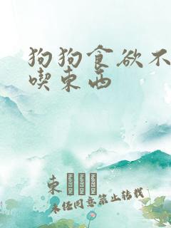 狗狗食欲不振不吃东西