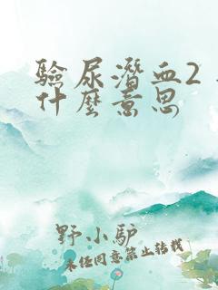 验尿潜血2 是什么意思