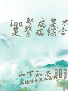 iga肾病是不是肾病综合征