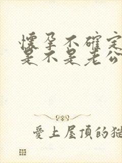 怀孕不确定孩子是不是老公的怎么办