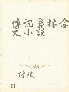 傅沉枭林念晚全文小说