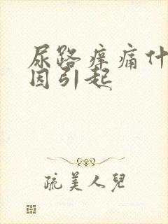 尿路痒痛什么原因引起