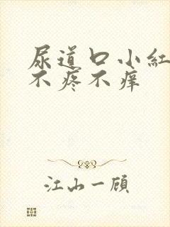 尿道口小红疙瘩不疼不痒