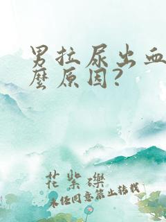 男拉尿出血是什么原因?