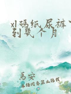 xl码纸尿裤穿到几个月