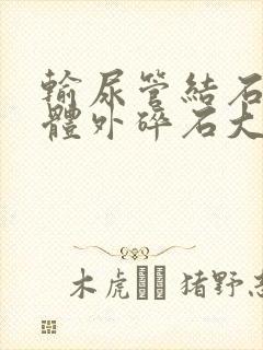 输尿管结石上段体外碎石大概多少钱