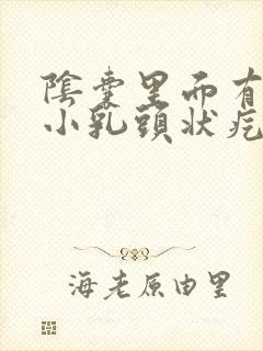 阴囊里面有一个小乳头状疙瘩