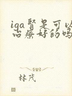 iga肾是可以治疗好的吗