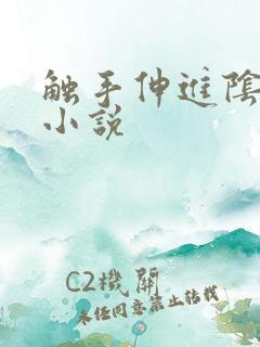 触手伸进阴道的小说