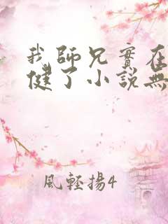 我师兄实在太稳健了小说无删减版