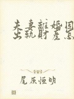 夫妻离婚因一方出轨财产怎么判