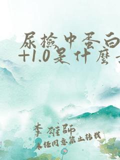 尿检中蛋白质2+1.0是什么意思