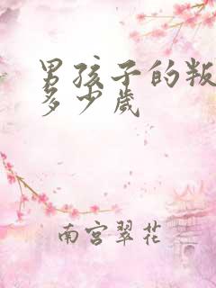 男孩子的叛逆期多少岁