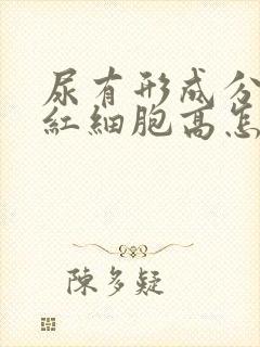 尿有形成分分析红细胞高怎么回事