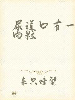 尿道口有一排小肉粒