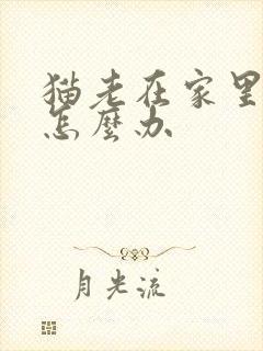 猫老在家里乱尿怎么办