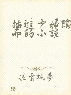 插进少妇阴道里面的小说