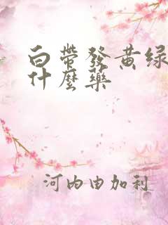 白带发黄绿色吃什么药