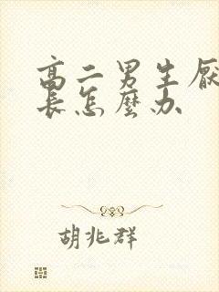 高二男生厌学家长怎么办