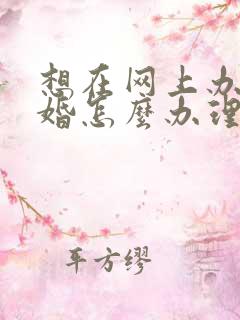 想在网上办理离婚怎么办理