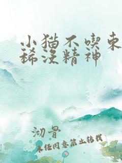 小猫不吃东西拉稀没精神