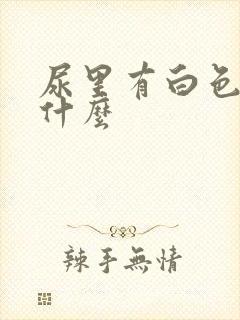 尿里有白色的是什么