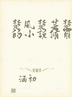 楚风楚芸楚鸿飞的小说修罗武神