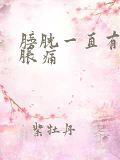 膀胱一直有尿意胀痛