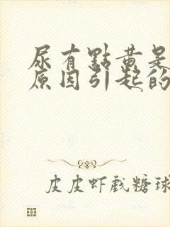 尿有点黄是什么原因引起的