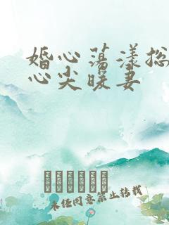 婚心荡漾总裁的心尖暖妻