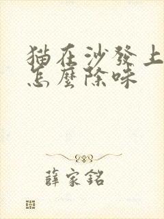 猫在沙发上尿了怎么除味