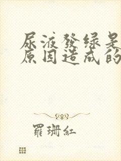 尿液发绿是什么原因造成的