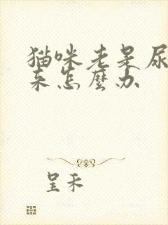 猫咪老是尿不出来怎么办