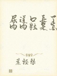 尿道口长了一个肉肉粒是怎么回事