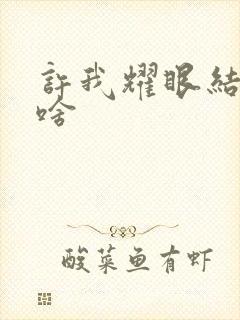 许我耀眼结局是啥