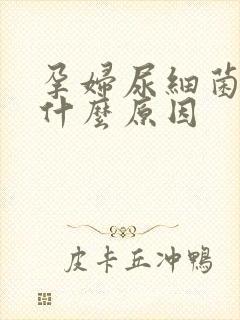 孕妇尿细菌高是什么原因