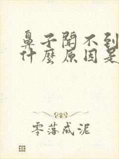 鼻子闻不到味是什么原因是什么