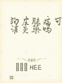 狗皮肤病可以吃消炎药吗