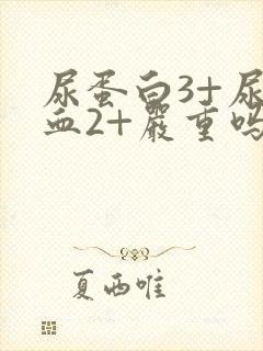 尿蛋白3+尿隐血2+严重吗