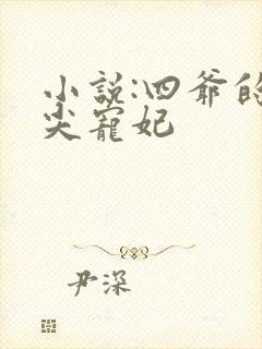 小说:四爷的心尖宠妃