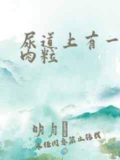 尿道上有一些小肉粒