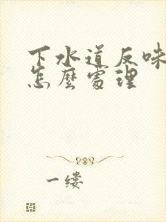 下水道反味严重怎么处理