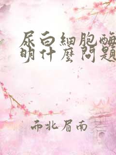 尿白细胞酶高说明什么问题