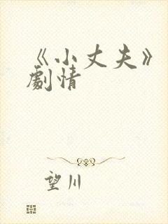 《小丈夫》分集剧情