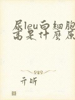 尿leu白细胞高是什么原因