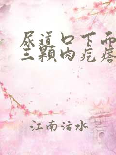 尿道口下面有两三颗肉疙瘩